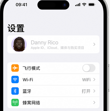 灞桥appleID维修服务iPhone设置中Apple ID显示为灰色无法使用