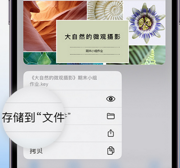 灞桥apple维修中心分享iPhone文件应用中存储和找到下载文件