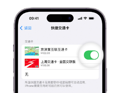 灞桥apple维修点分享iPhone上更换Apple Pay快捷交通卡手绘卡面 