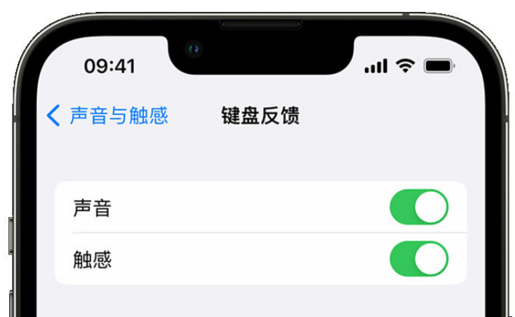 灞桥苹果手机维修分享iPhone 14触感键盘使用方法 