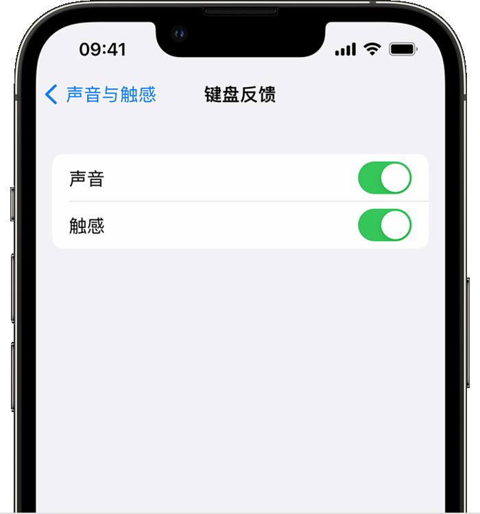 灞桥苹果14维修店分享如何在 iPhone 14 机型中使用触感键盘 