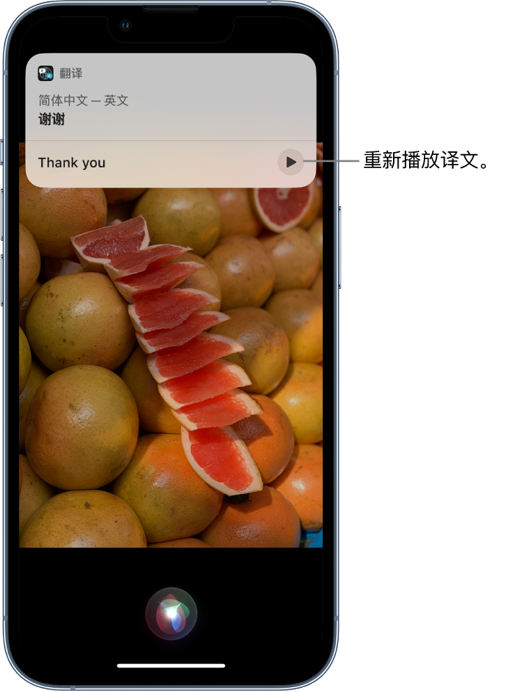 灞桥苹果14维修分享 iPhone 14 机型中使用 Siri：了解 Siri 能帮你做什么 