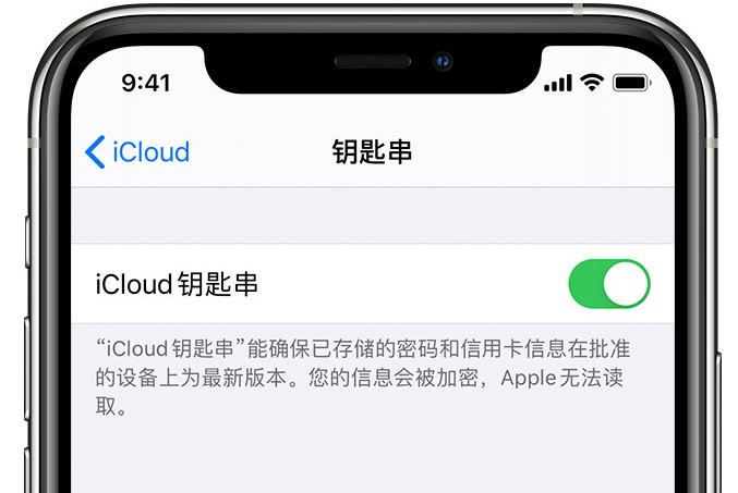 灞桥苹果手机维修分享在 iPhone 上开启 iCloud 钥匙串之后会储存哪些信息 